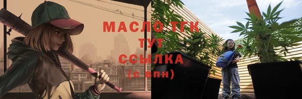 ешки Дмитриев