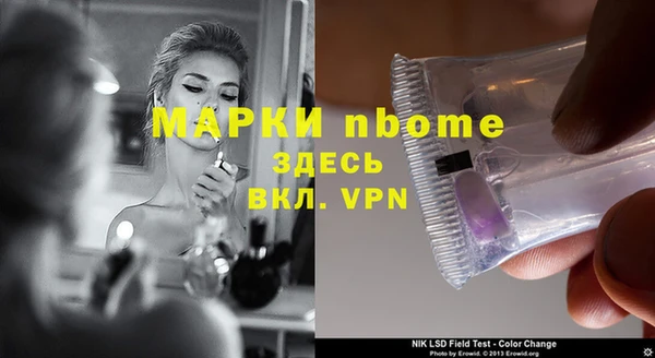 индика Дмитровск