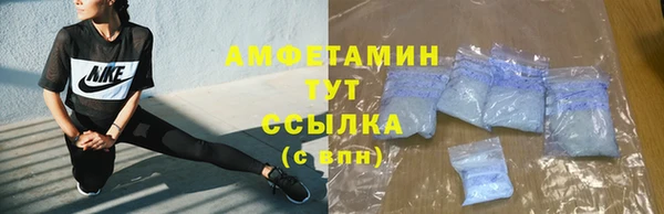 индика Дмитровск