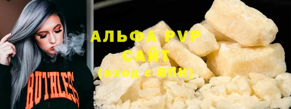индика Дмитровск