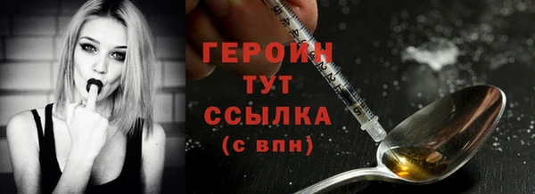 индика Дмитровск