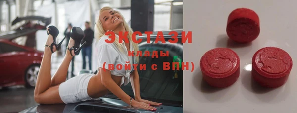 индика Дмитровск