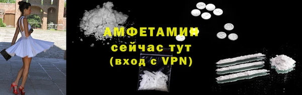 индика Дмитровск