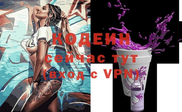индика Дмитровск
