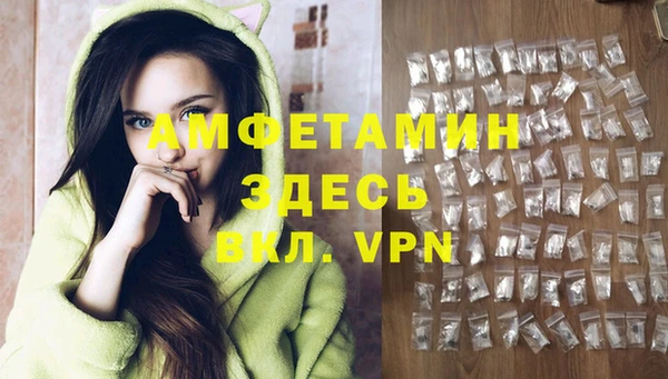 индика Дмитровск
