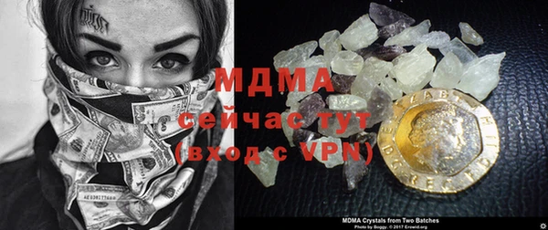 индика Дмитровск