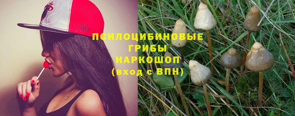 индика Дмитровск