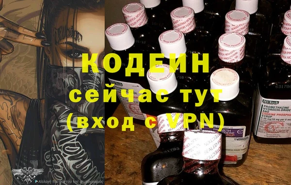 индика Дмитровск