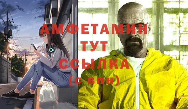 индика Дмитровск