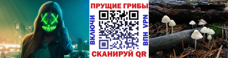 Галлюциногенные грибы мицелий  это как зайти  Балаково 
