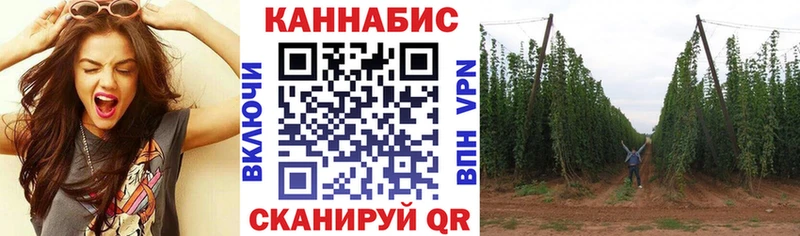 Конопля SATIVA & INDICA  как найти   сайты даркнета официальный сайт  Балаково 